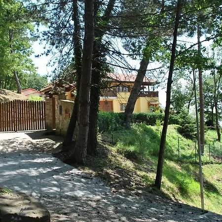 Apartment Sul Lago *