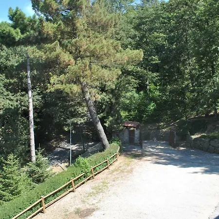 Sul Lago Passignano sul Trasimeno